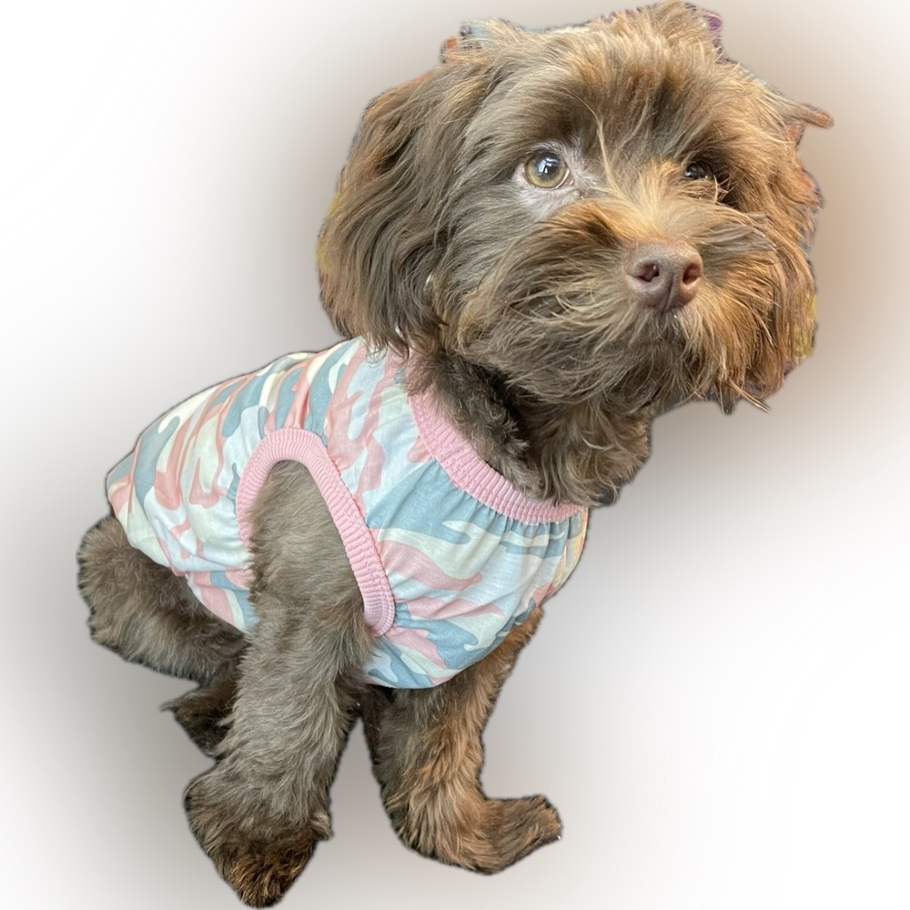 Pink Army Dog Tank